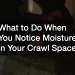 What to Do When You Notice Moisture in Your Crawl Space